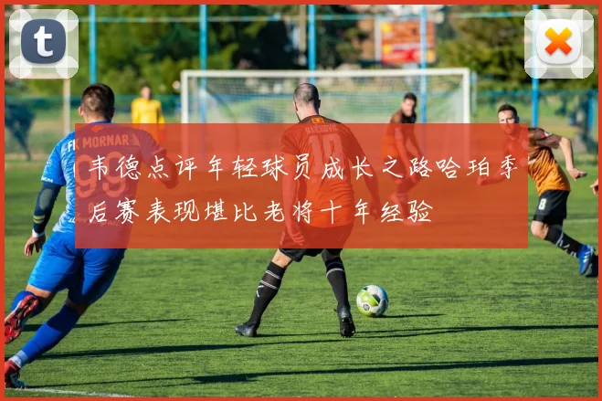 韦德点评年轻球员成长之路哈珀季后赛表现堪比老将十年经验